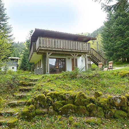 Le Schwarzwald - A Proximite Des Stations De Ski La Bresse Exterior photo