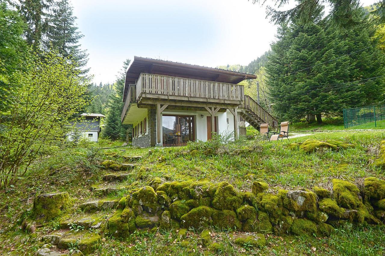 Le Schwarzwald - A Proximite Des Stations De Ski La Bresse Exterior photo